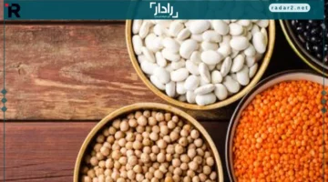 أسعار الفول البلدي والبقوليات في كفر الشيخ الثلاثاء 11 نوفمبر 2025